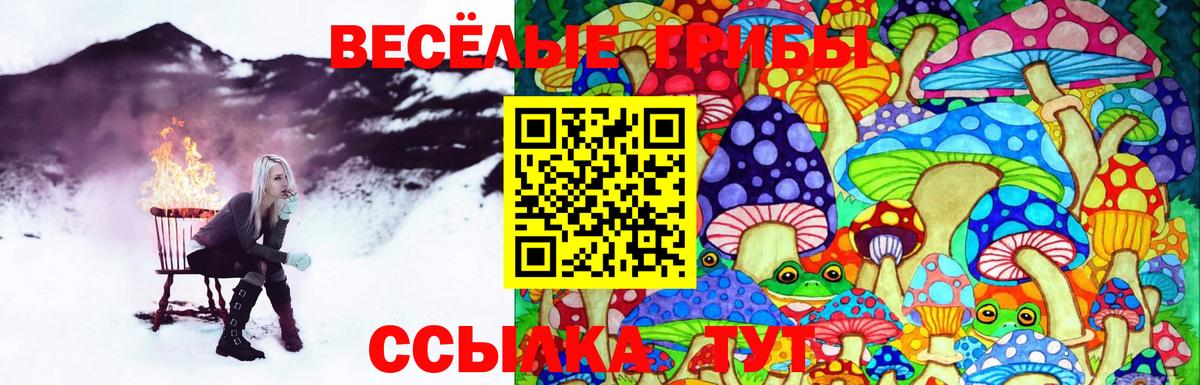 Барнаул  Псилоцибиновые грибы Psilocybine cubensis  Вход с VPN 