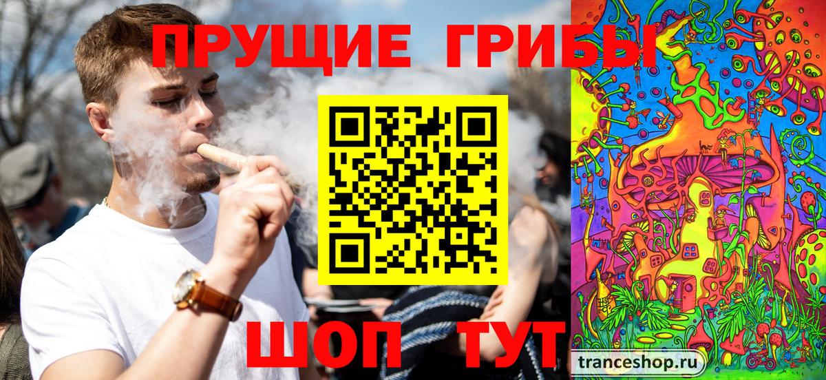 Галлюциногенные грибы GOLDEN TEACHER Барнаул